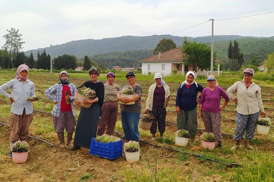 Elibelinde Tarım kadınları. Kaynak: Elibelinde Tarım