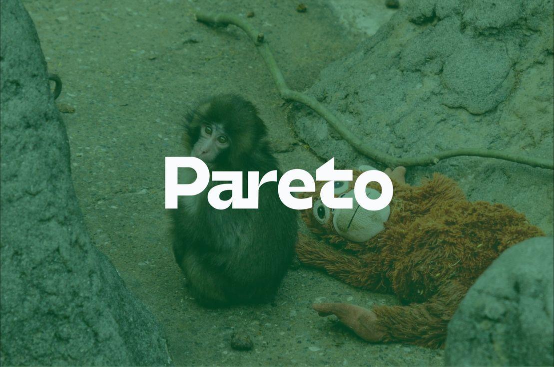 punch-refleksi-wbd-anlasmasi