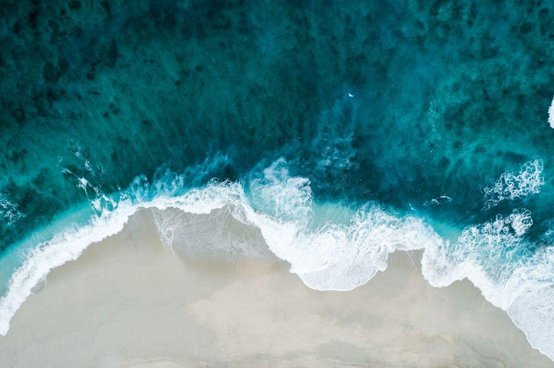 Shifaaz shamoon, Unsplash