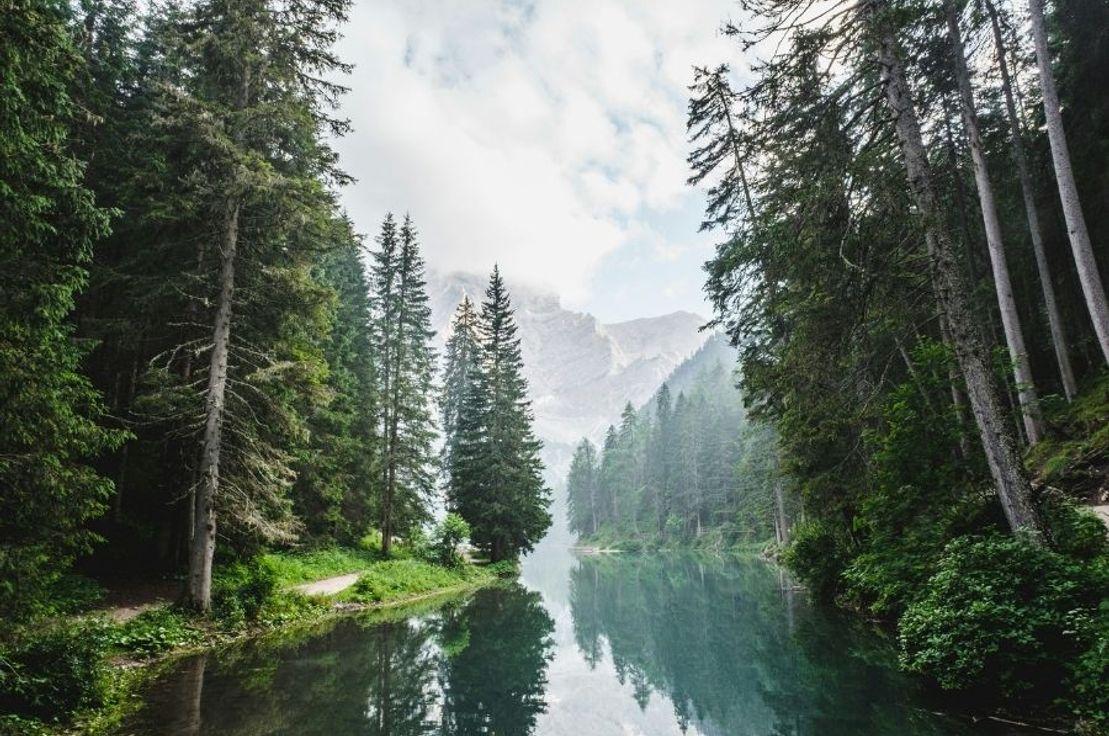 Luca Bravo, Unsplash