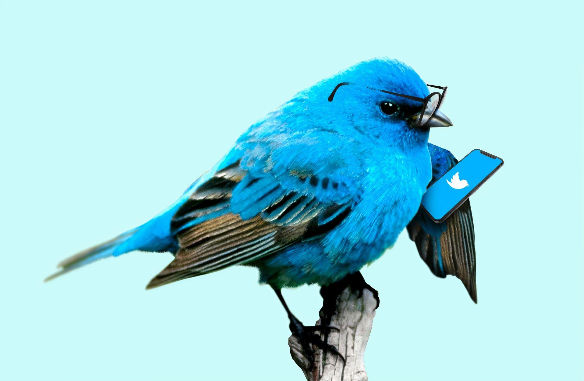 Minecraft'tan Twitter hack'ine