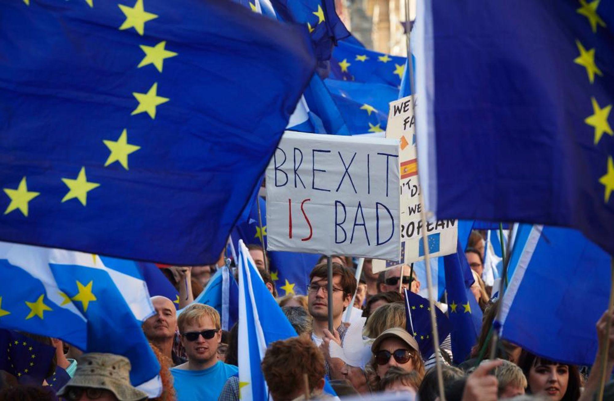 Brexit sonrası Londra'nın mülteci endişesi 