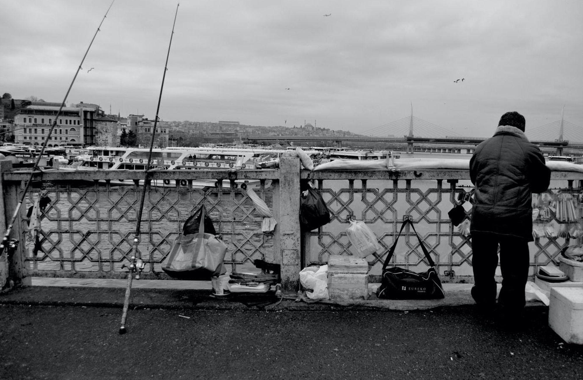 İstanbul, Boğaz ve balıklar