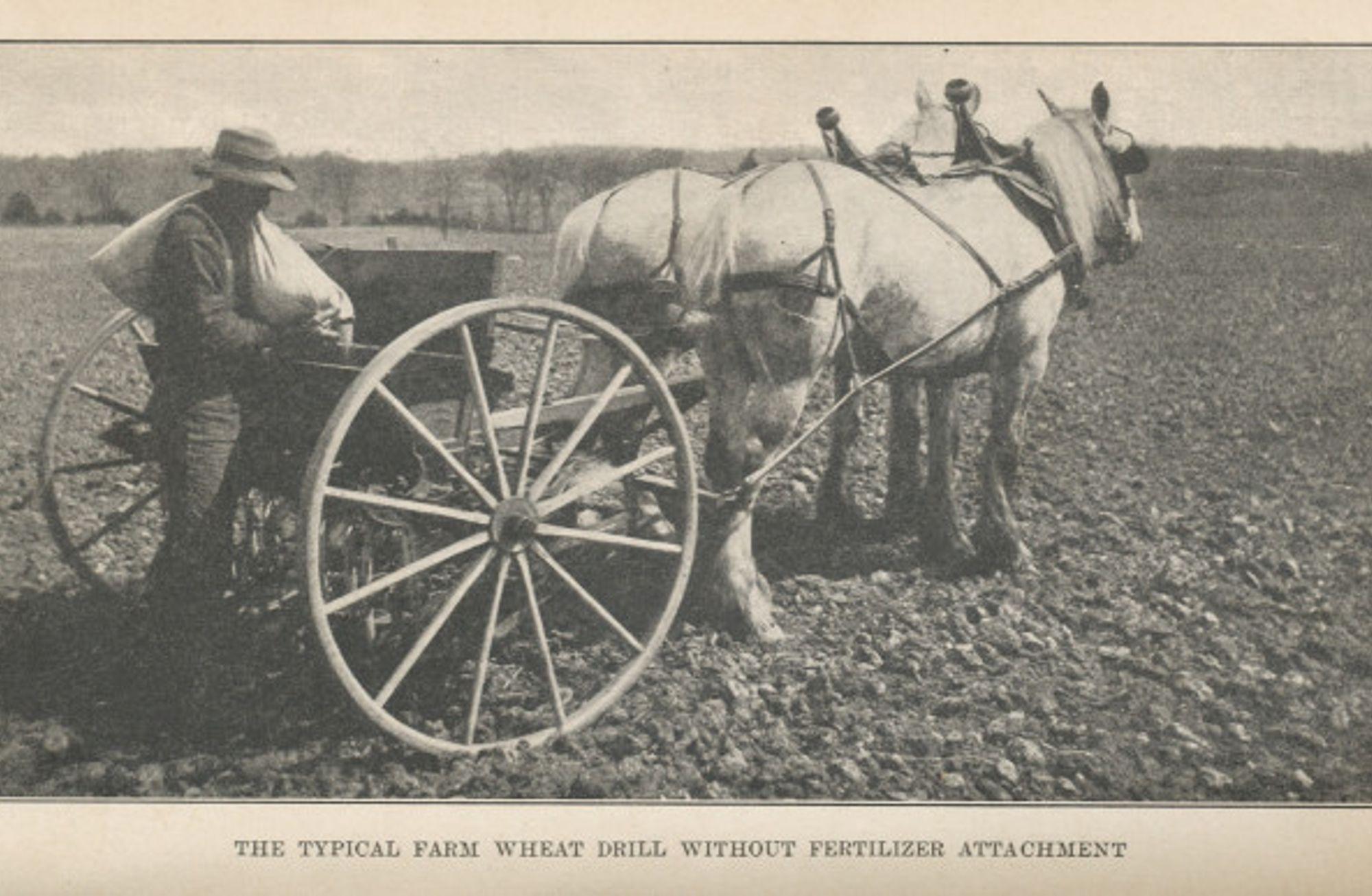 1908’den Bir Kitap: Book of Wheat 