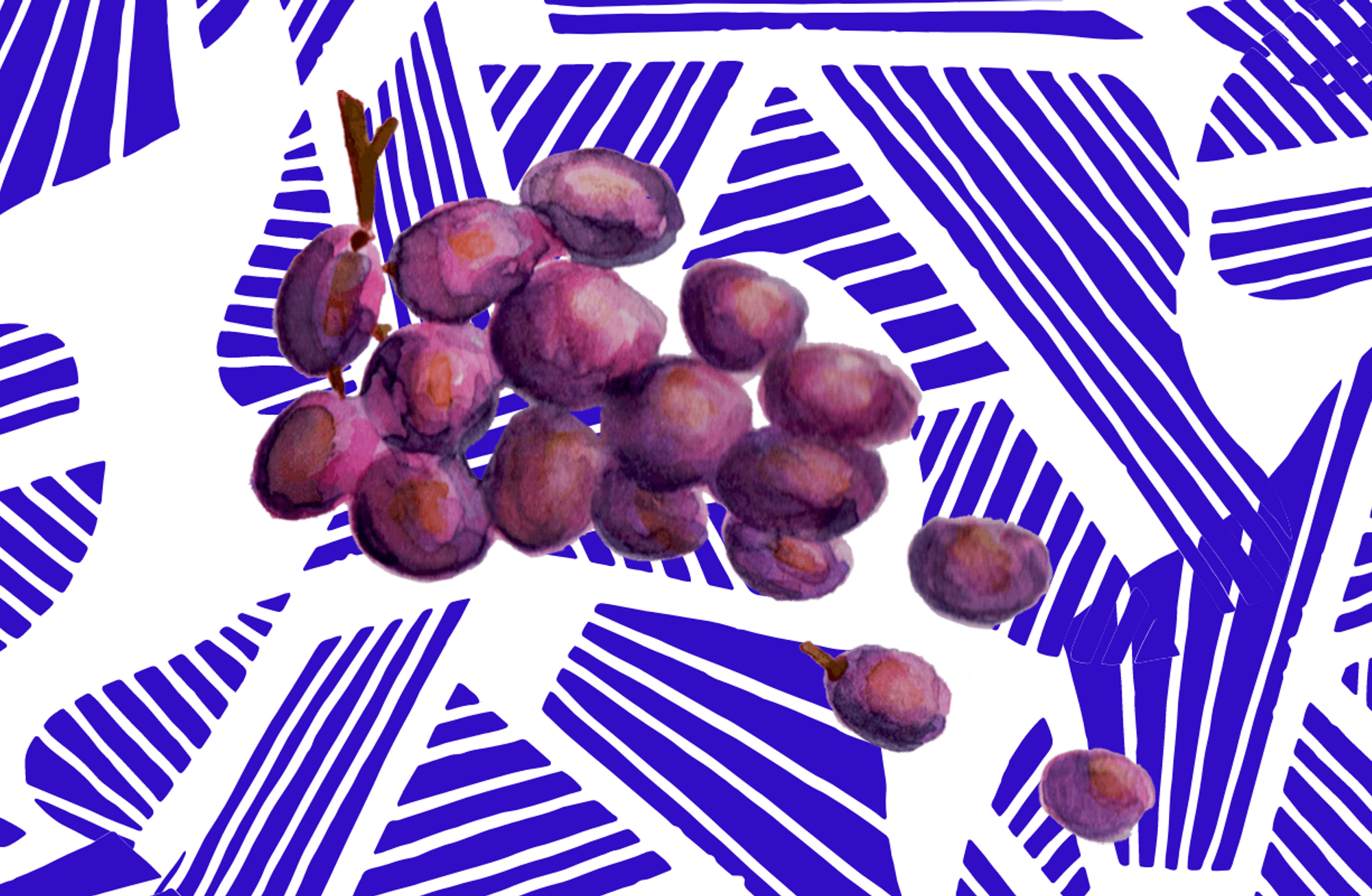 Kuzey Yunanistan’ın Nebbiolo’su: Xinomavro