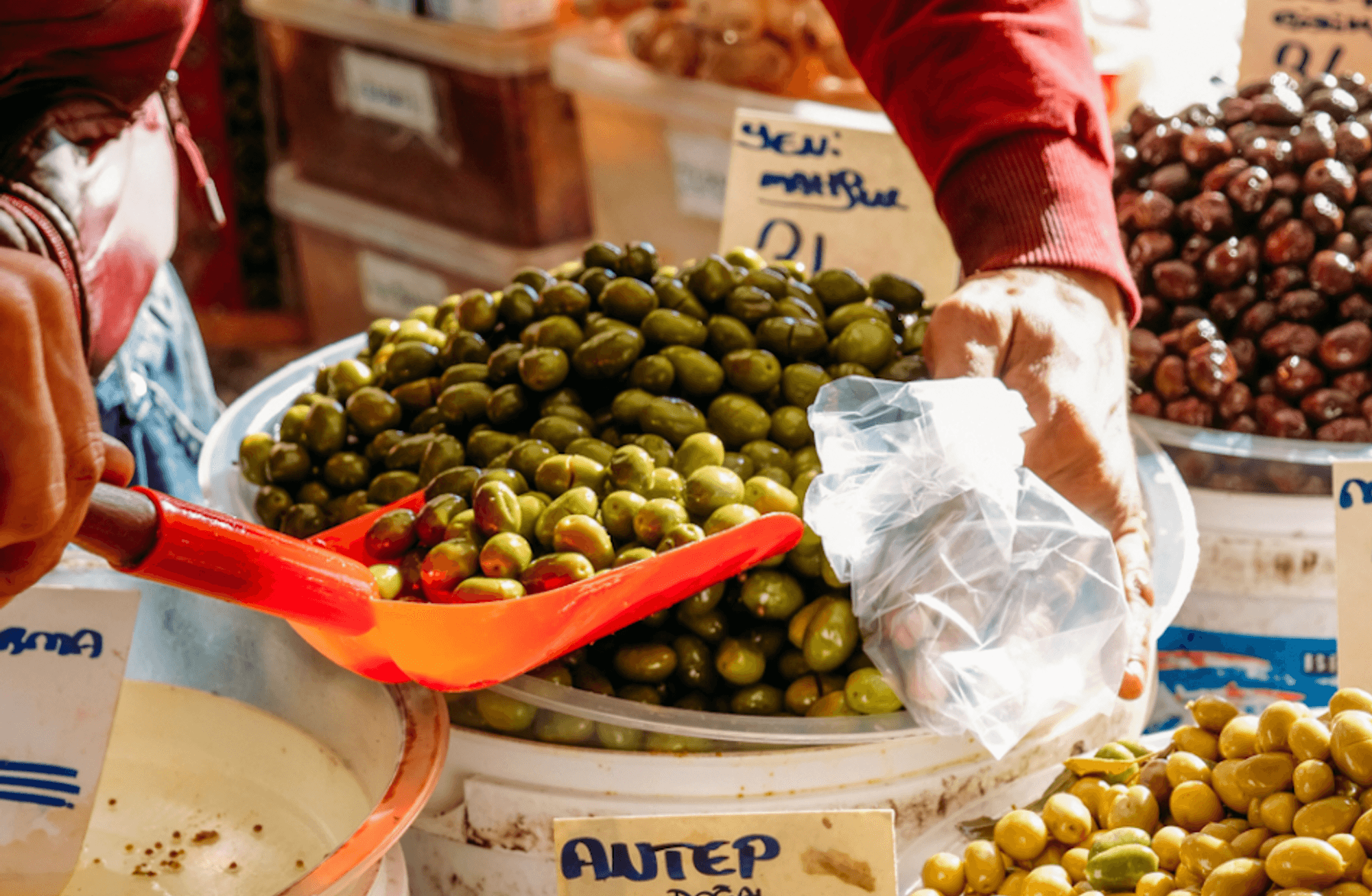 Zeytin gözlüm sana meylim nedendir?