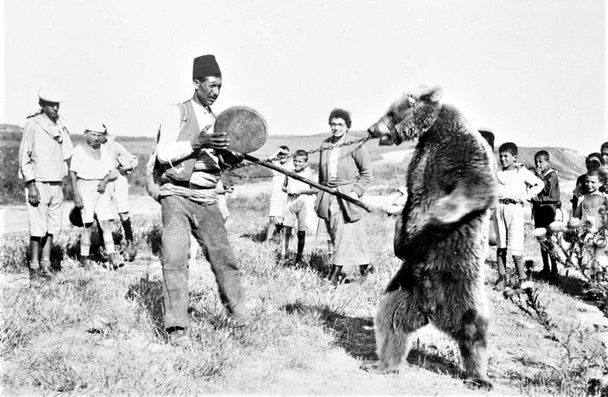 70 yıl süren ayı oynatıcılığını yasaklama mücadelesi ve Barış Manço'nun rolü
