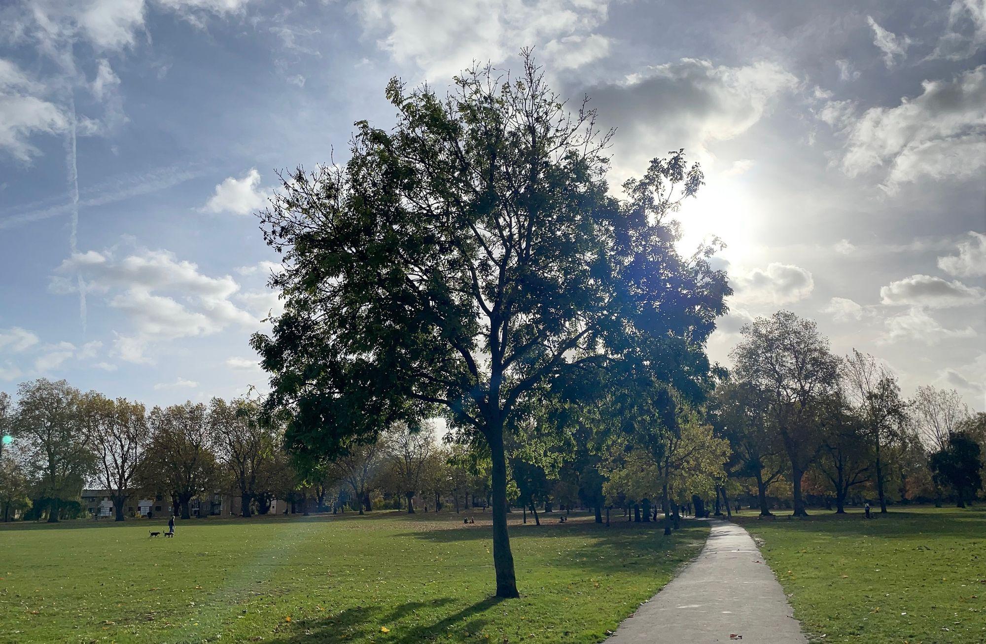 Victoria Park