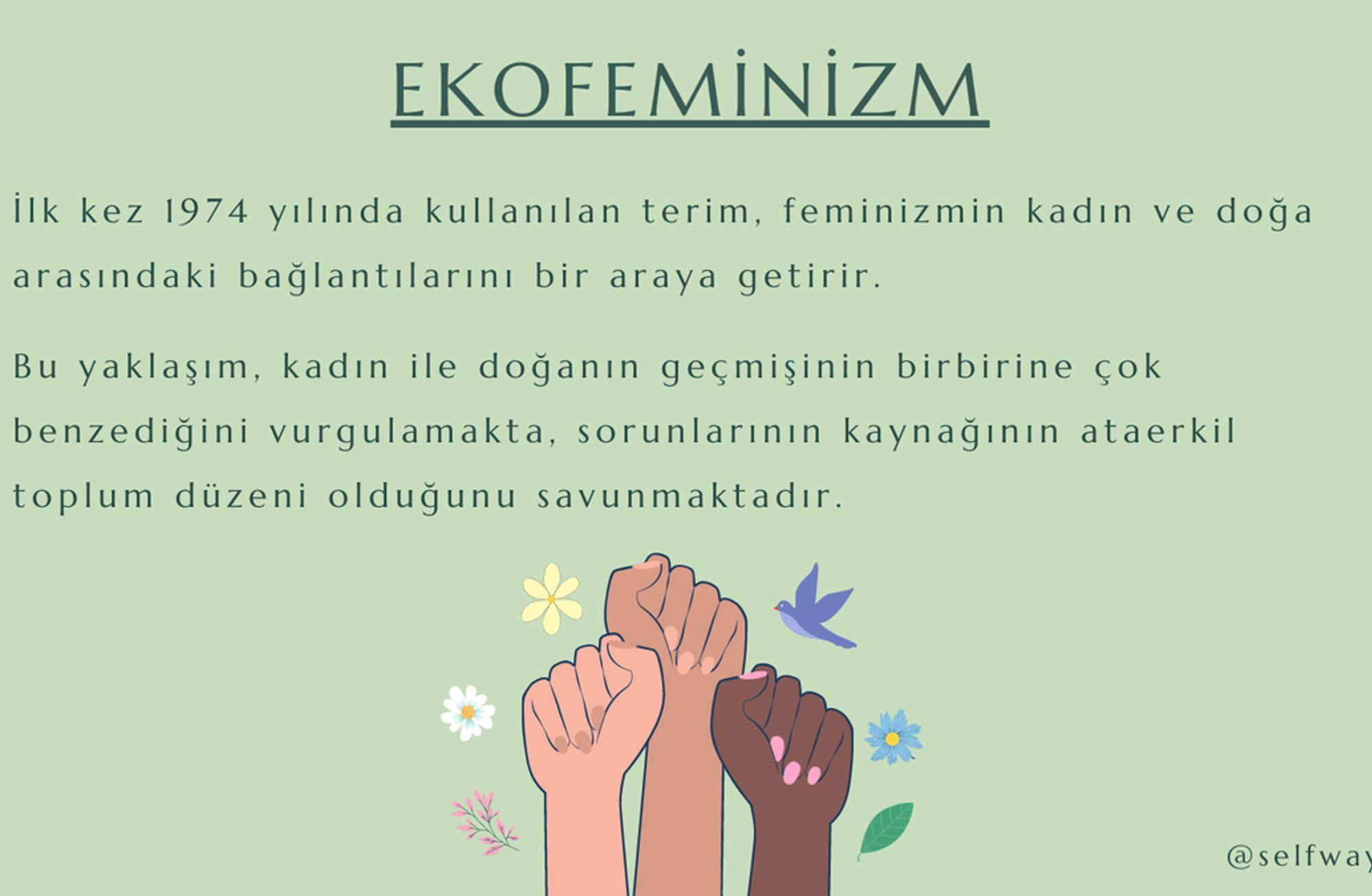 Ekofeminizm Nedir?