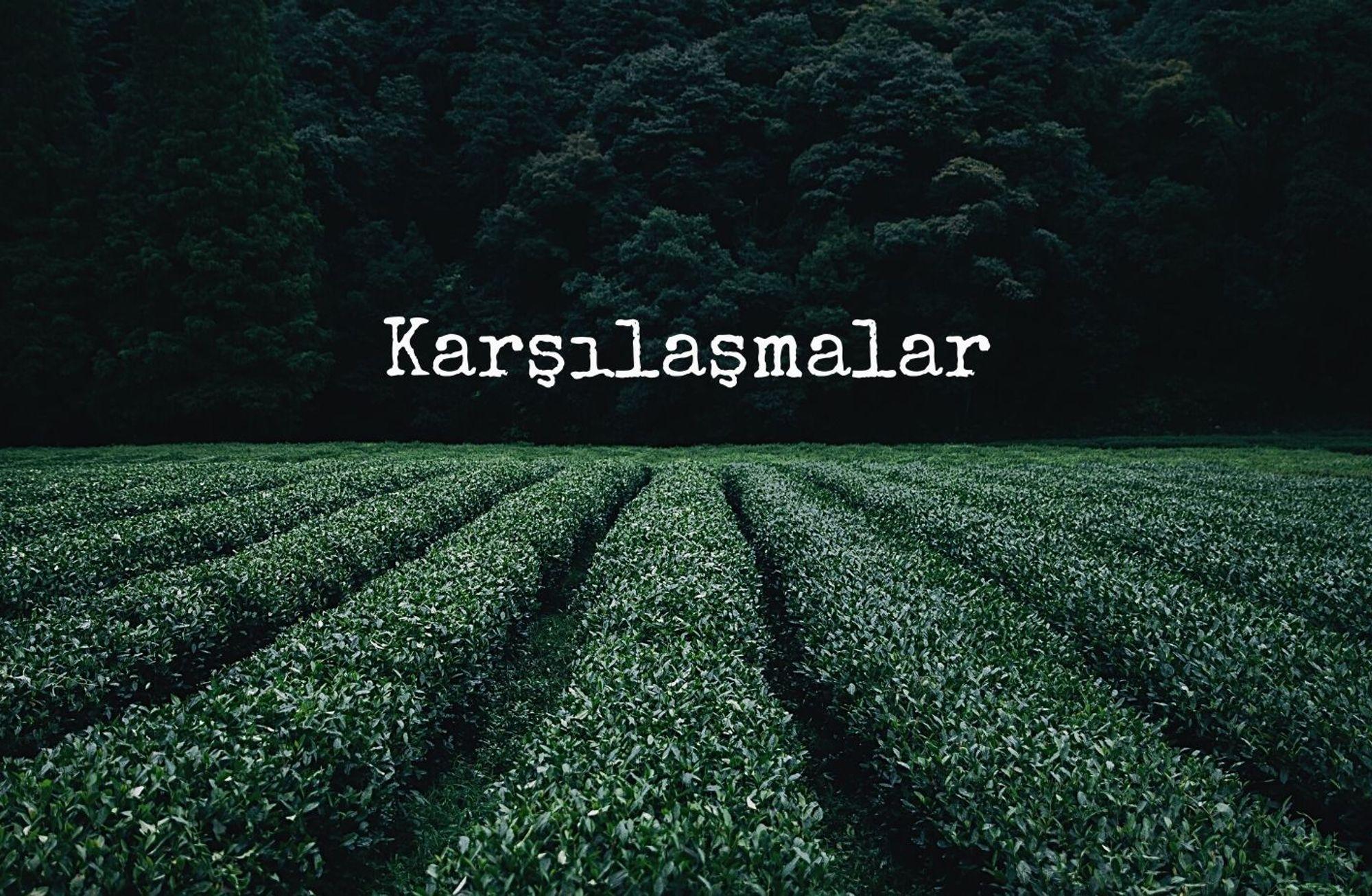 Dur Durak Bilerek… 
