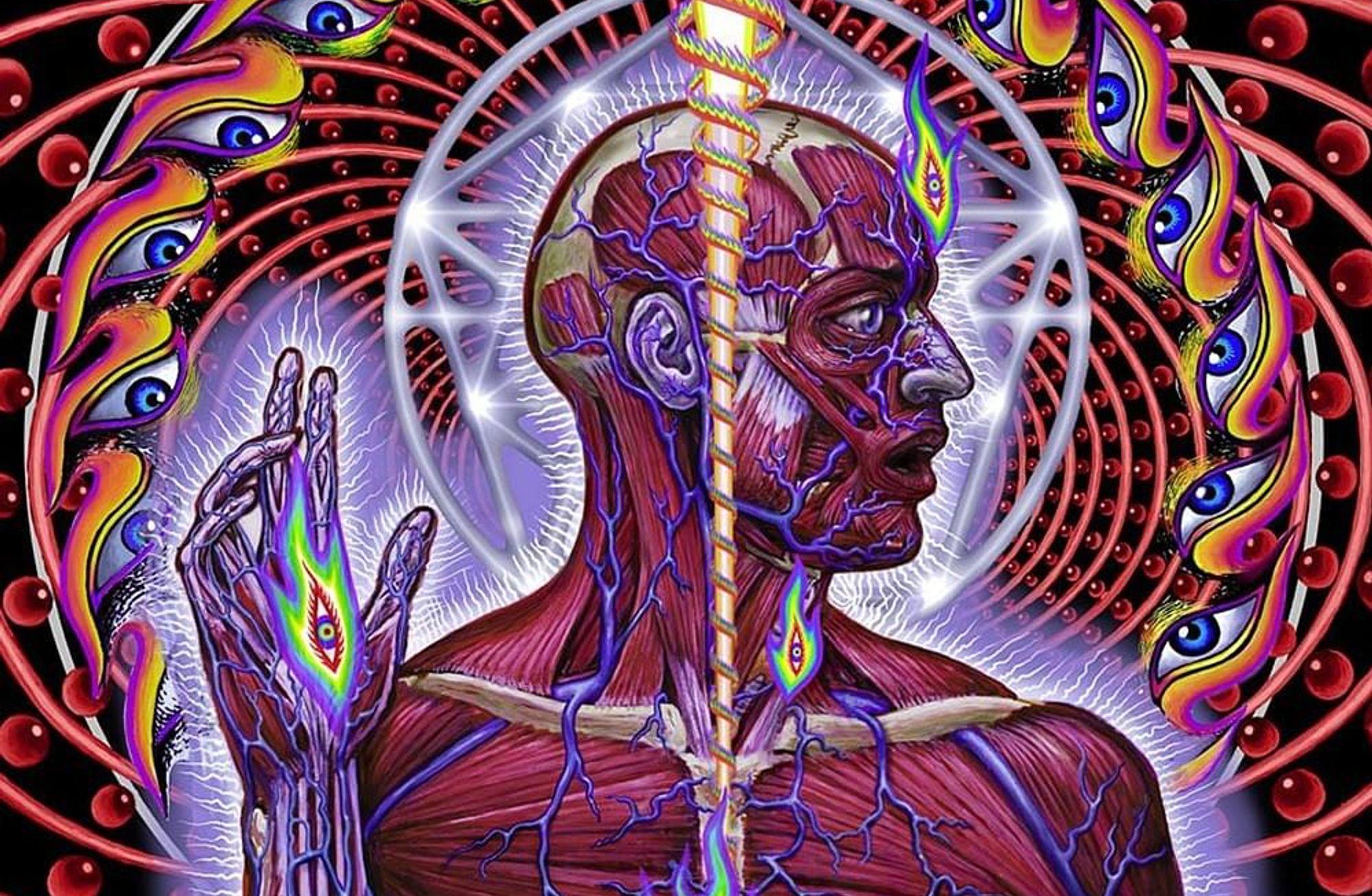 Çok katmanlı varlığımızın haritası: Lateralus