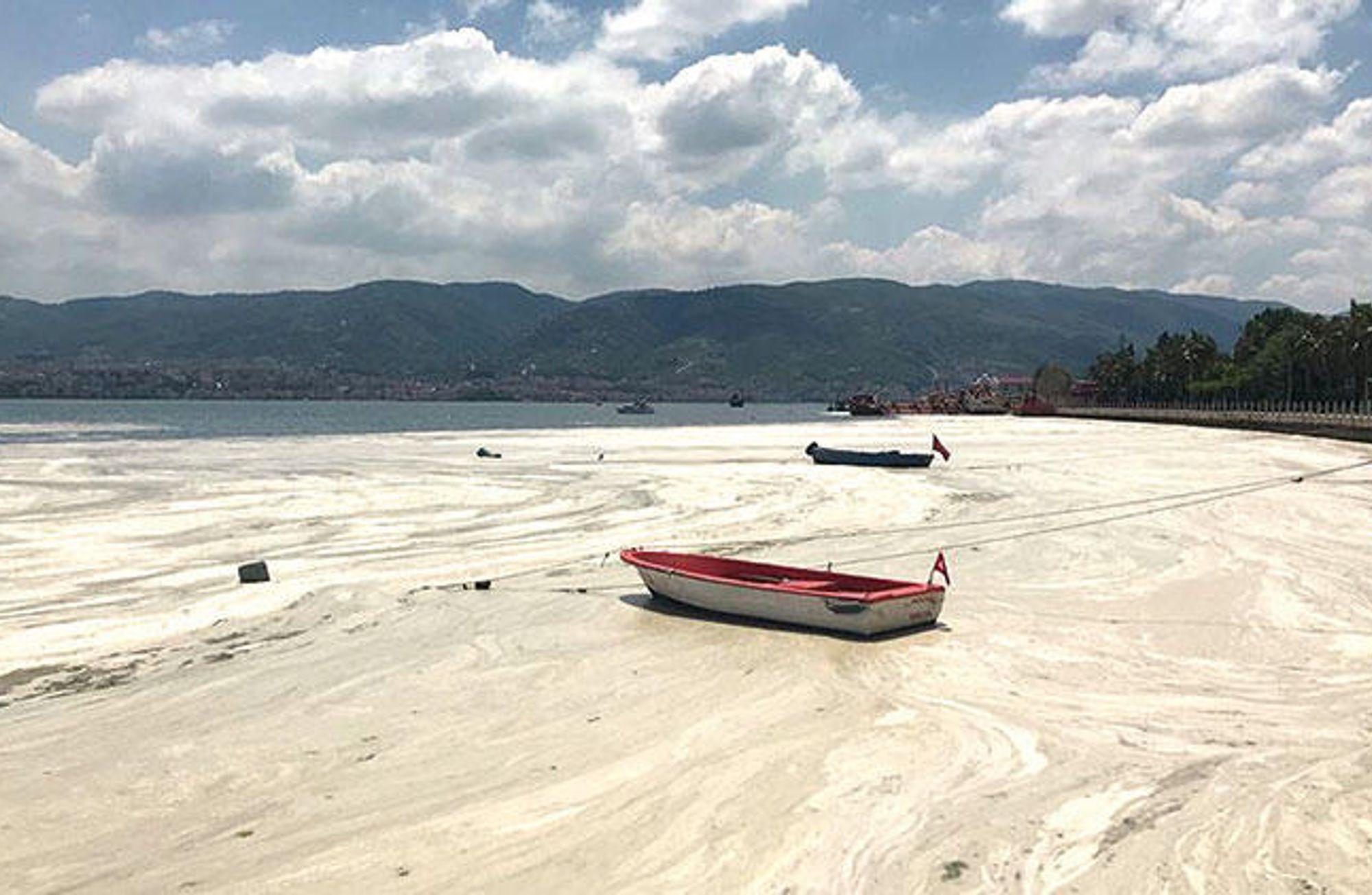 Müsilaja Karşı Eylem Planı Hazırlandı, Peki Uygulanır mı?