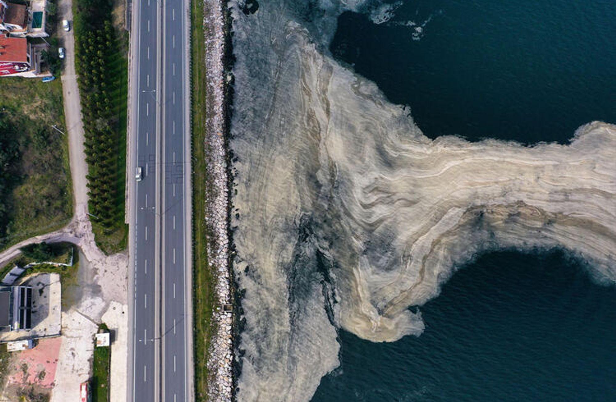 Marmara'da deniz salyası