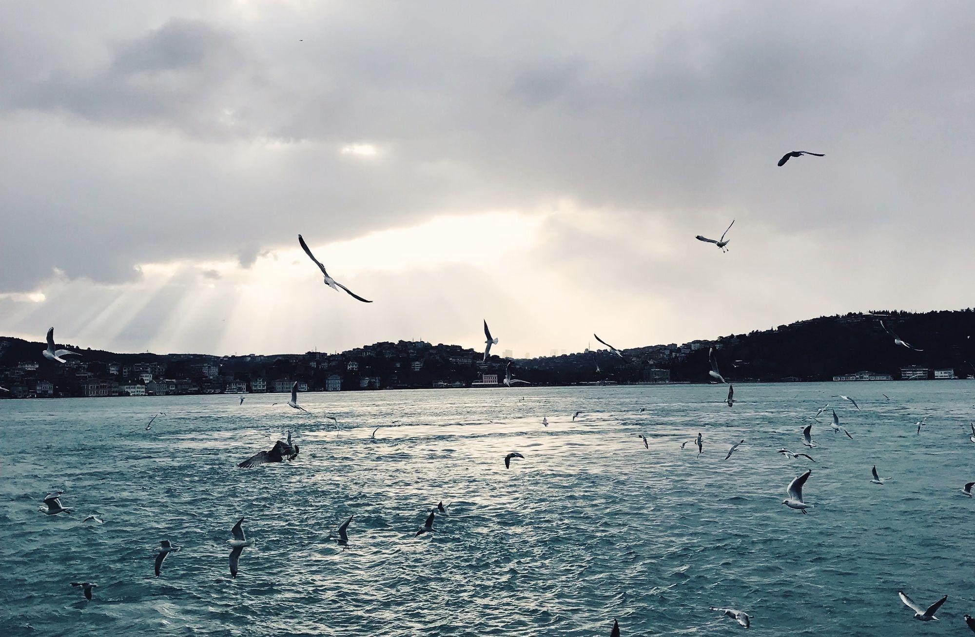 İstanbul'da Huzur Arayışı
