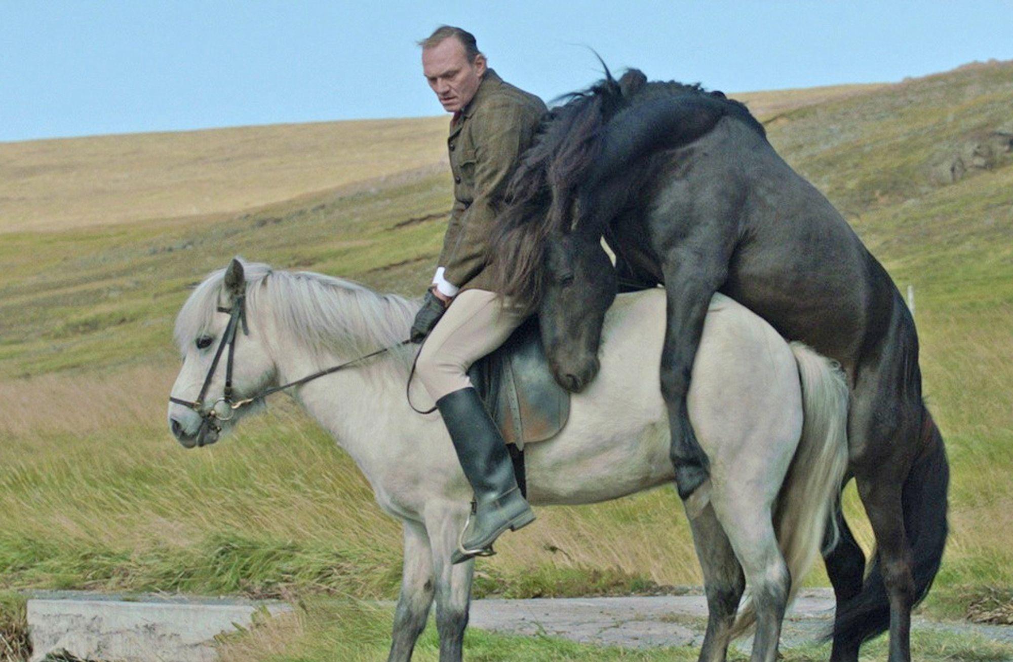 Of Horses and Men, 2010