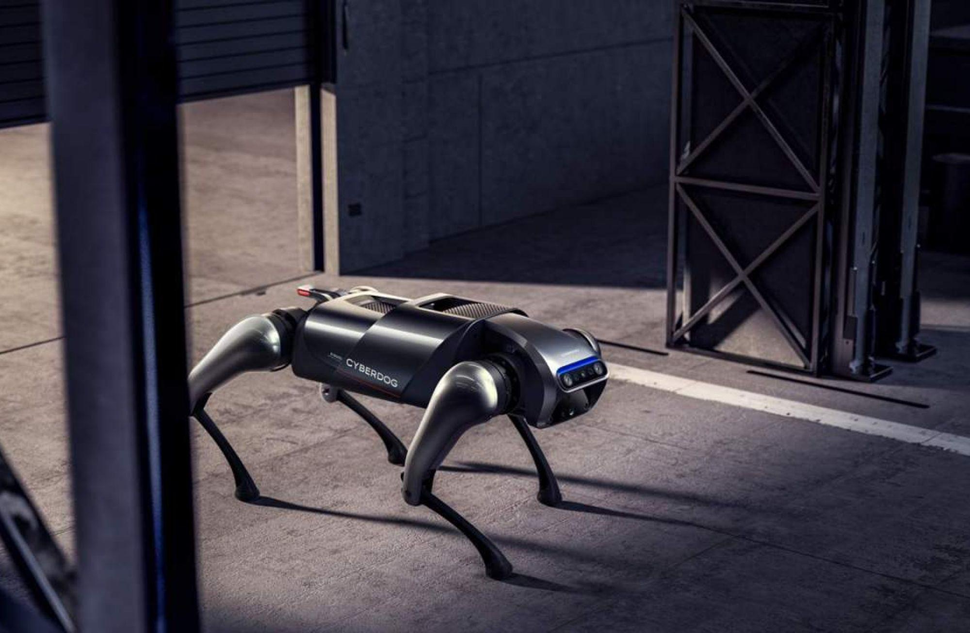 Yeni Spot, CyberDog 