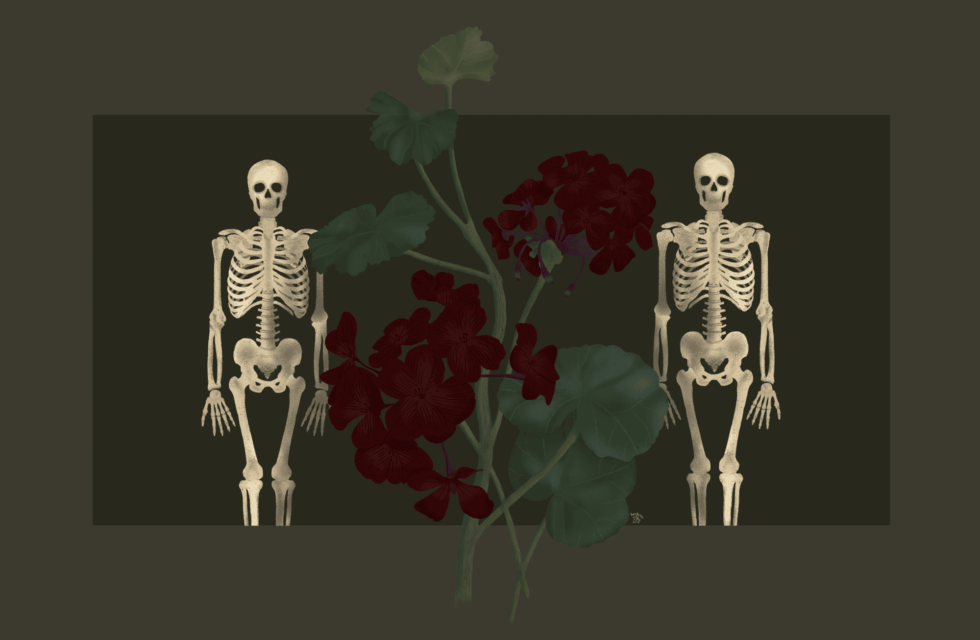 Bir Sardunyanın Anatomisi
