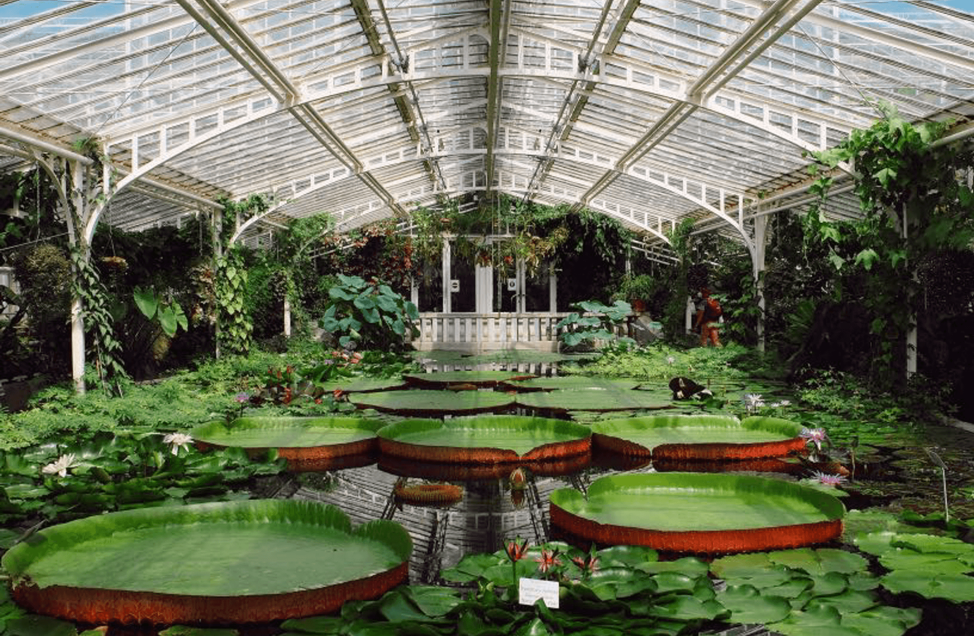 Botanischer Garten, Münih