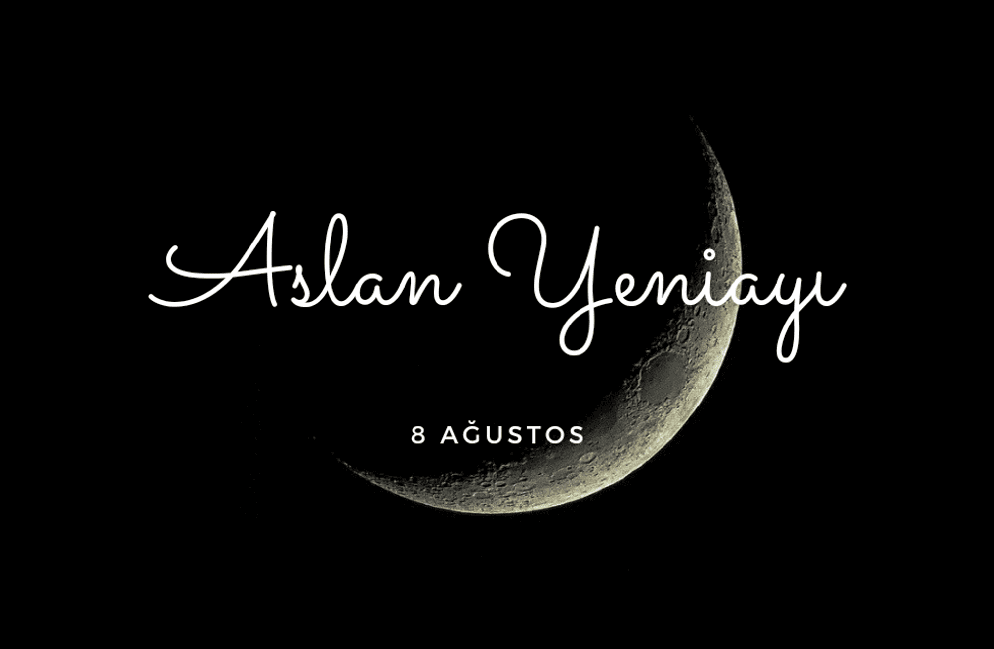 8 AĞUSTOS ASLAN YENİAYI 