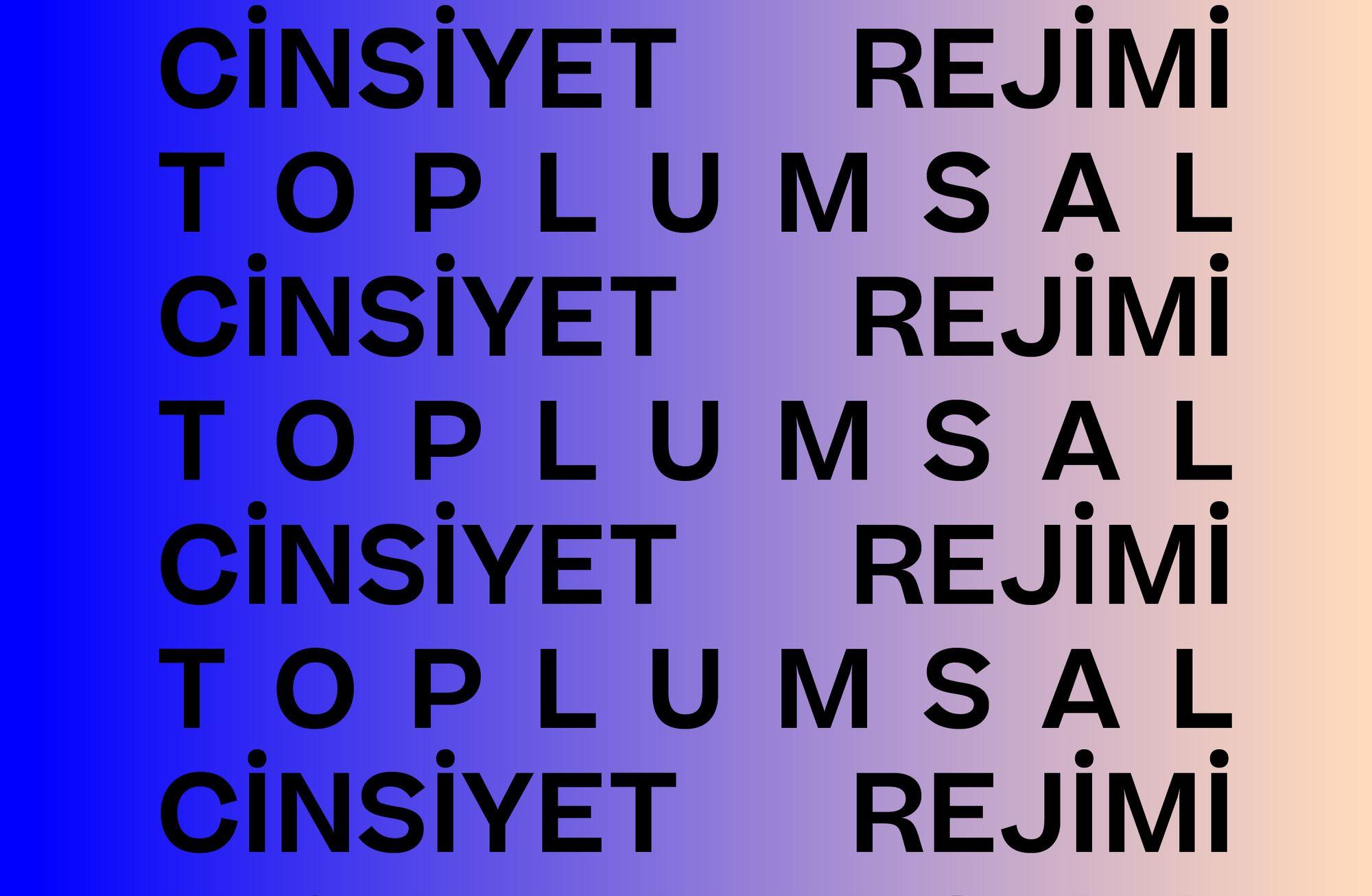 TOPLUMSAL CİNSİYET REJİMİ