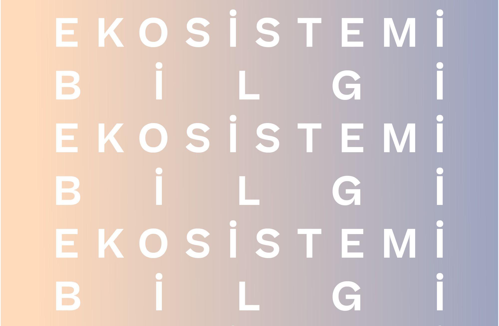 BİLGİ EKOSİSTEMİ