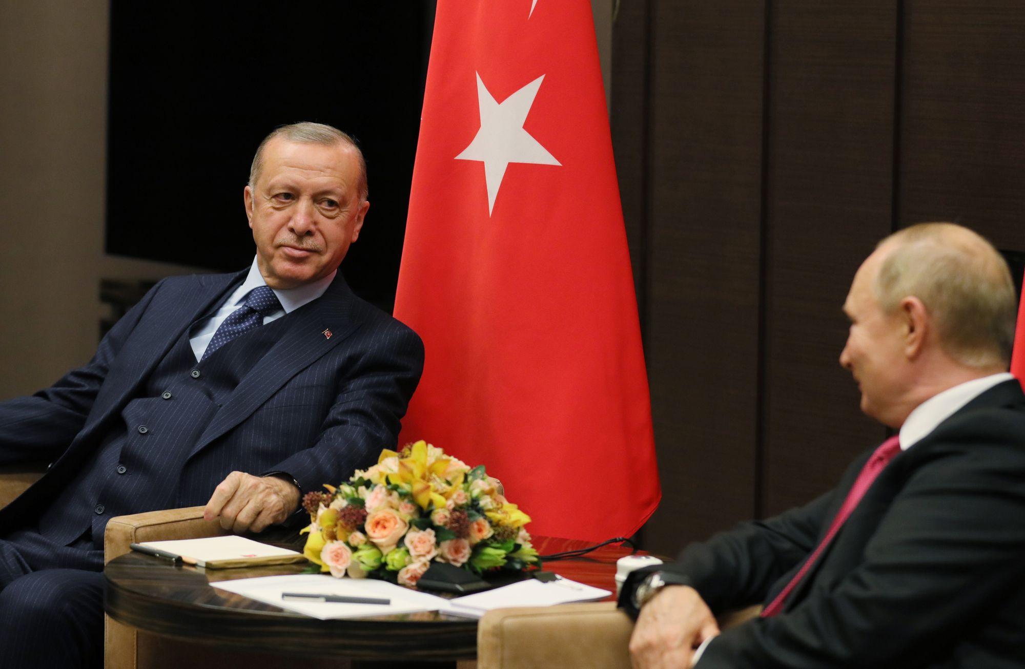 Soçi zirvesinin gündeminde ne vardı?