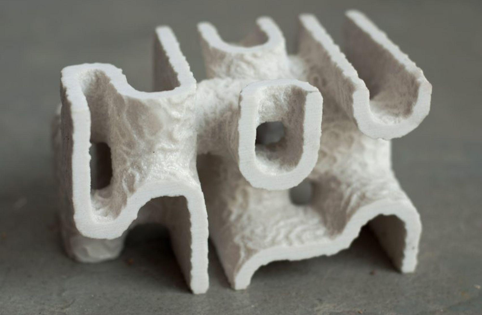 3D Baskı Coral Carbonate