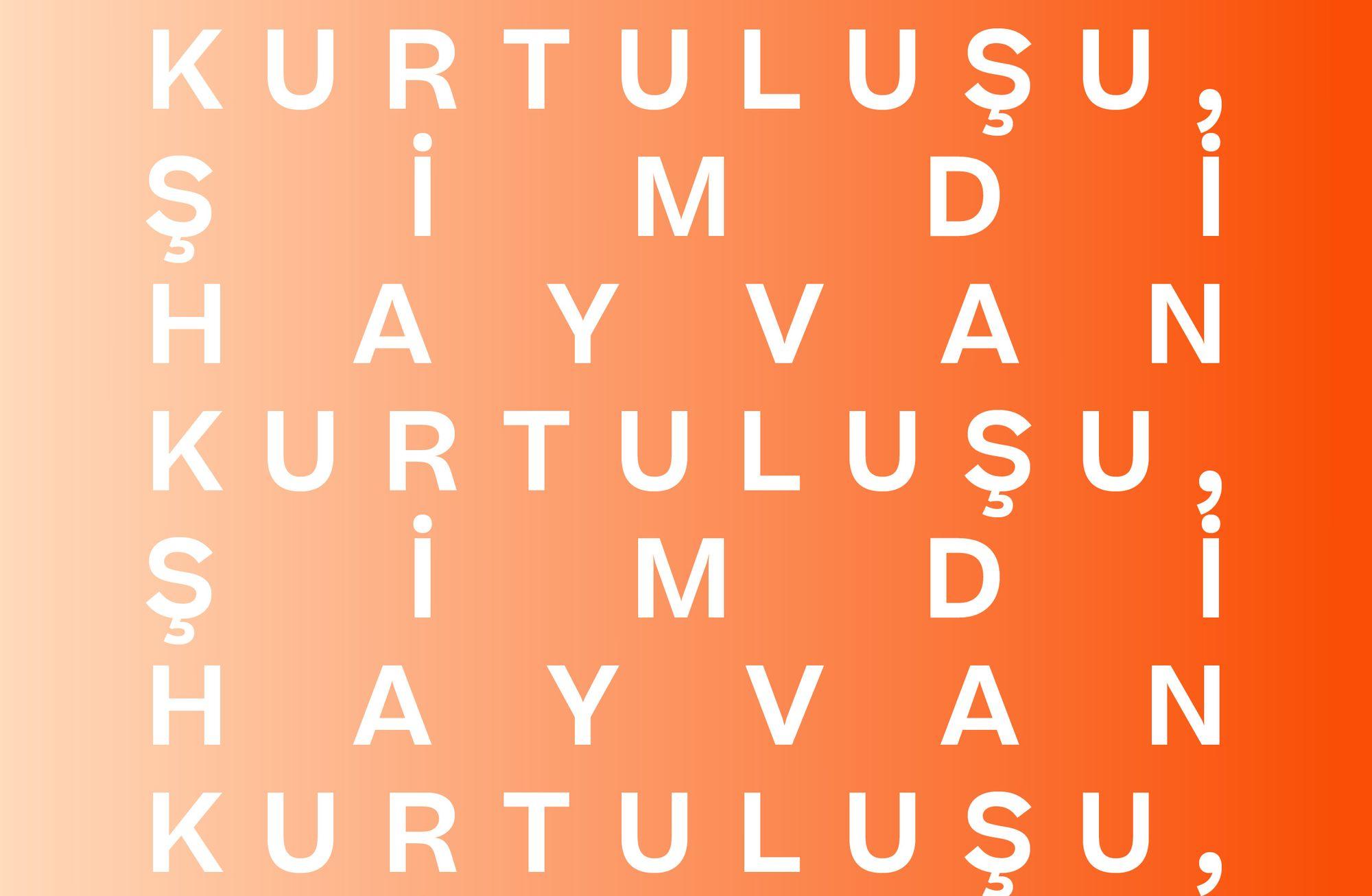 HAYVAN KURTULUŞU, ŞİMDİ