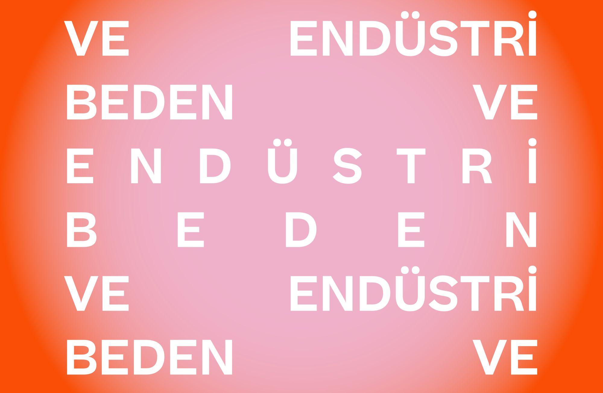 BEDEN VE ENDÜSTRİ