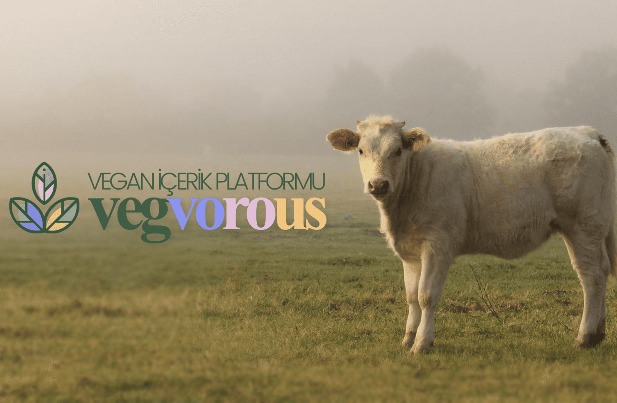 VEGvorous