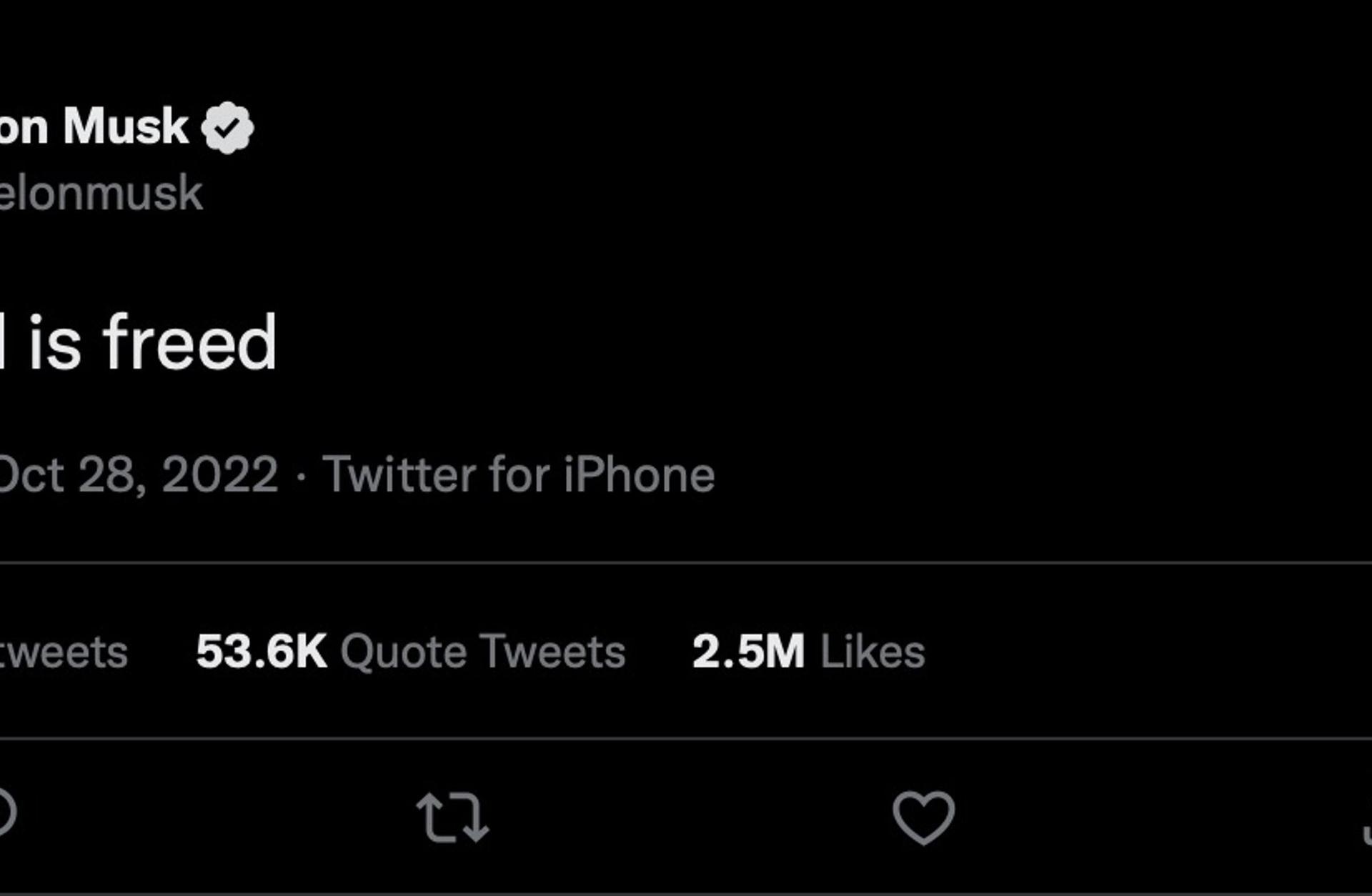Elon Musk'ın Twitter'ına Hoş Geldiniz