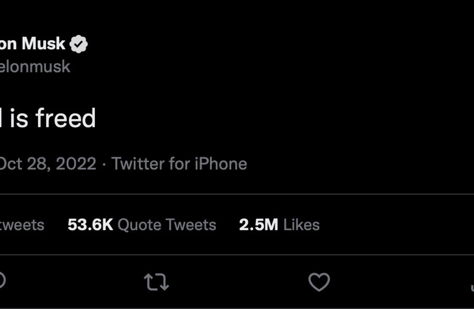 Elon Musk'ın Twitter'ına Hoş Geldiniz