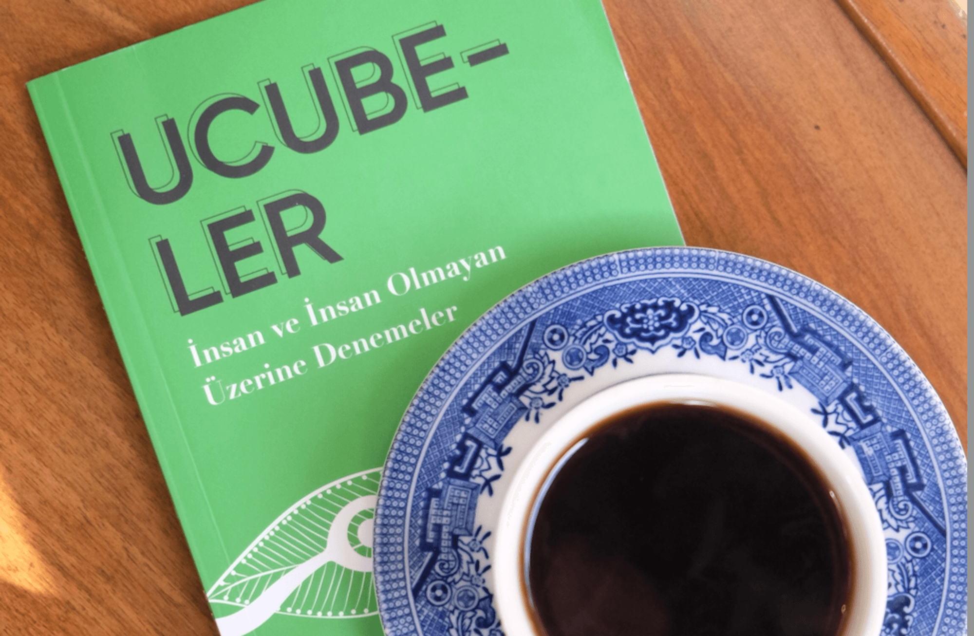 İnsan olmayanı anlayabilmek