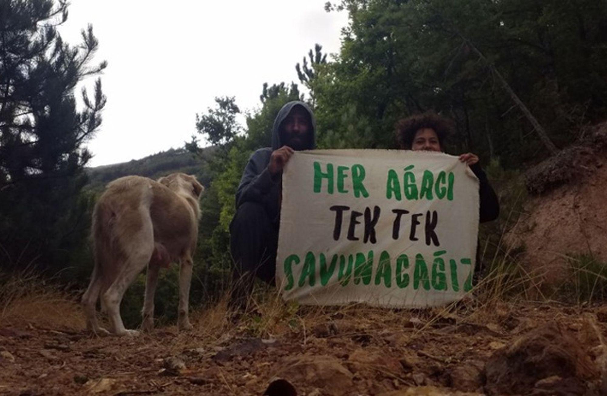 Doğa tahribatının örnekleri