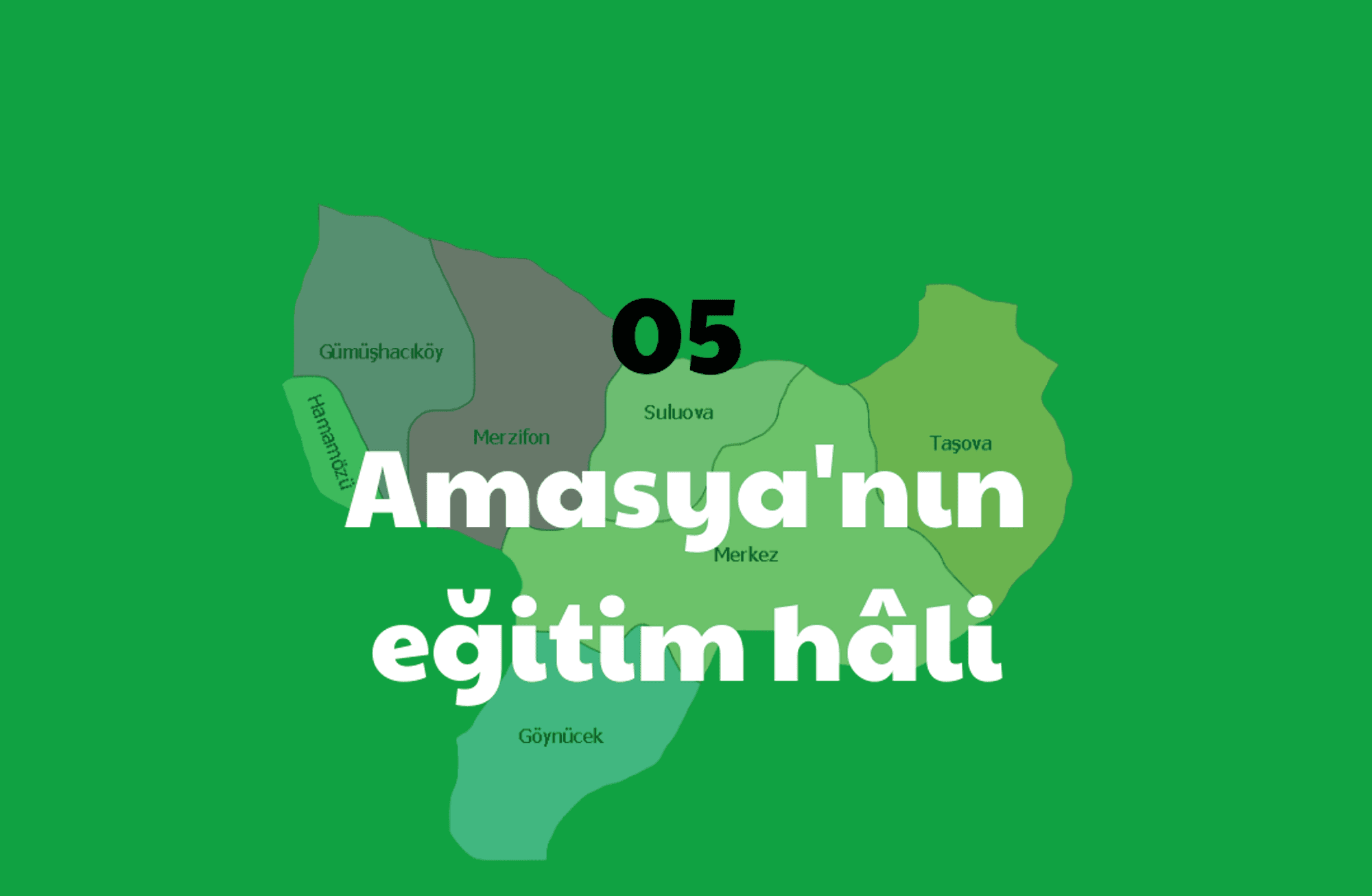 Amasya'nın eğitim hâli