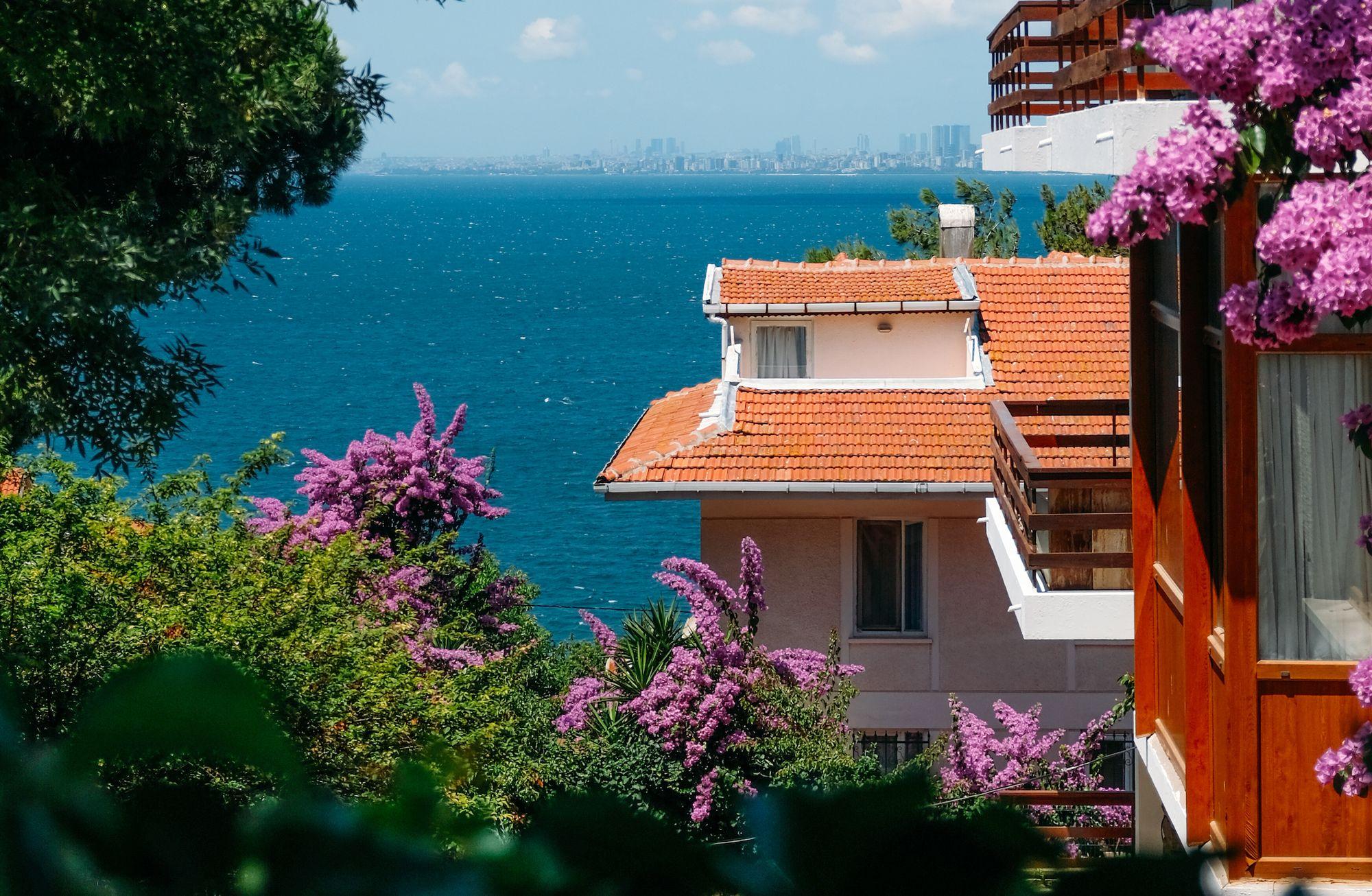 Geniş zamanda Büyükada