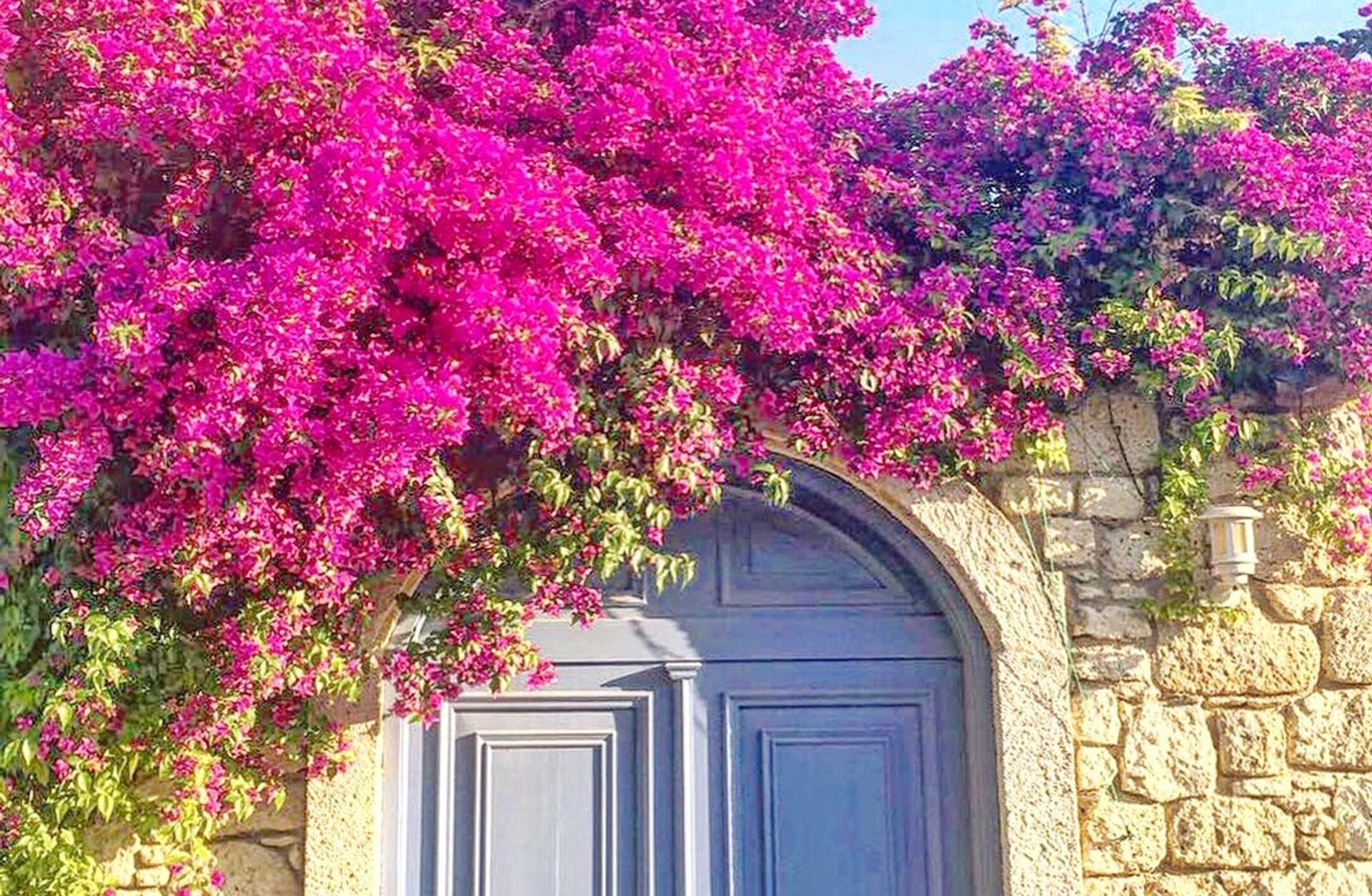 Alaçatı mahallelileri 