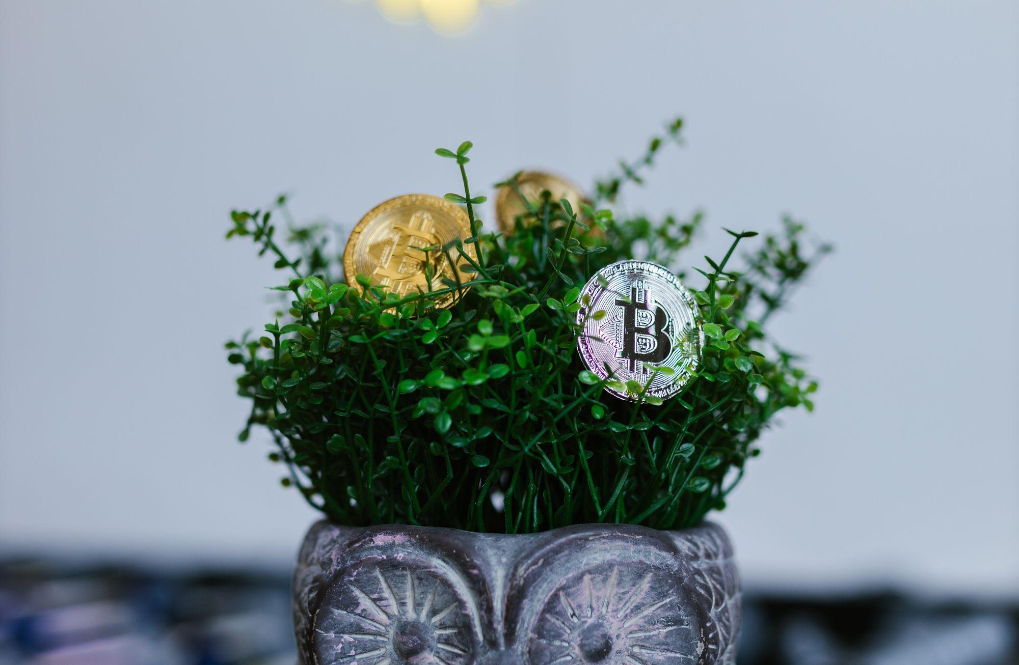 Blockchain Sektörünün Taşı Toprağı Altın mı?