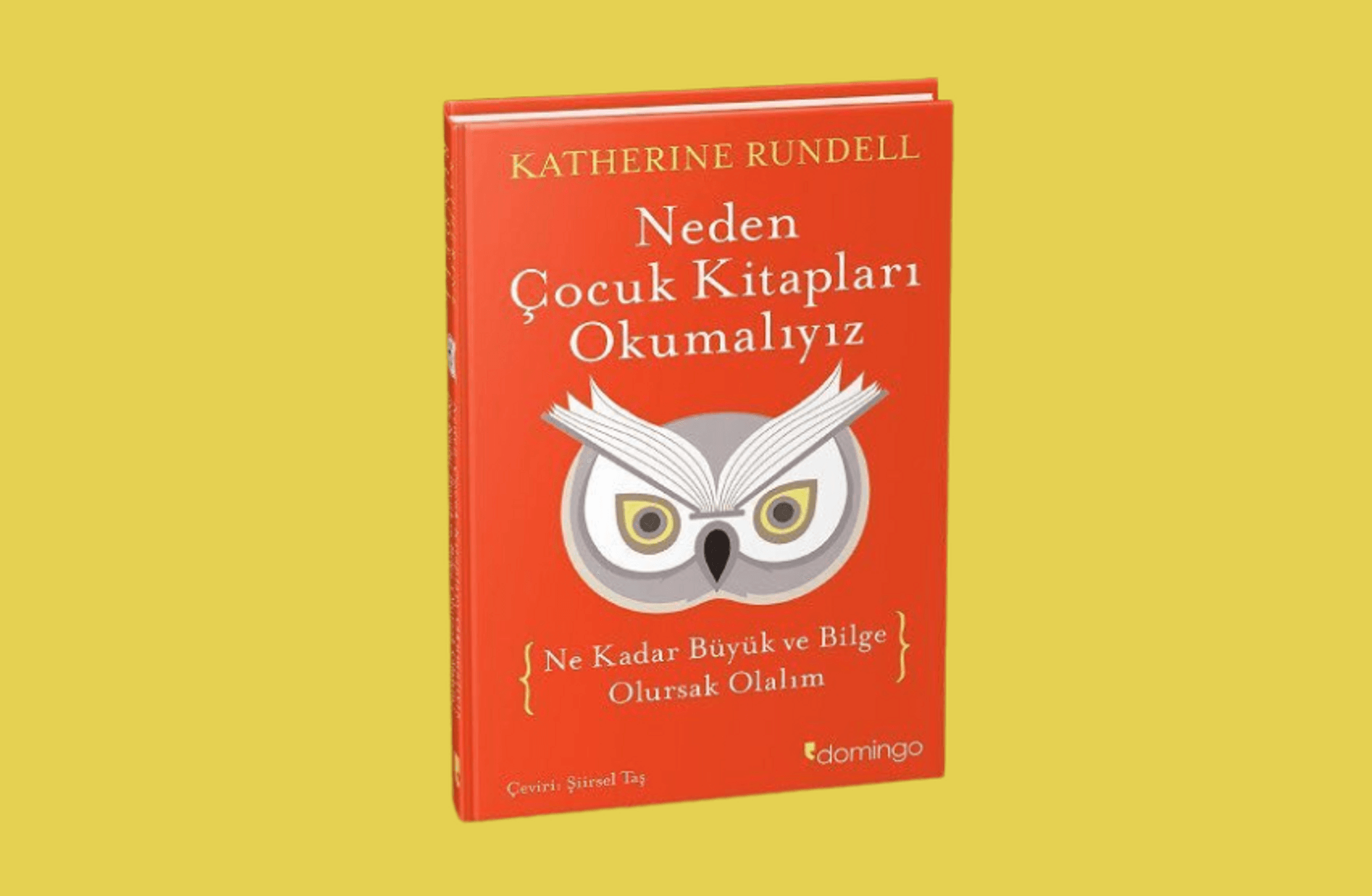 (Ne kadar büyük ve bilge olursak olalım) Neden çocuk kitapları okumalıyız?