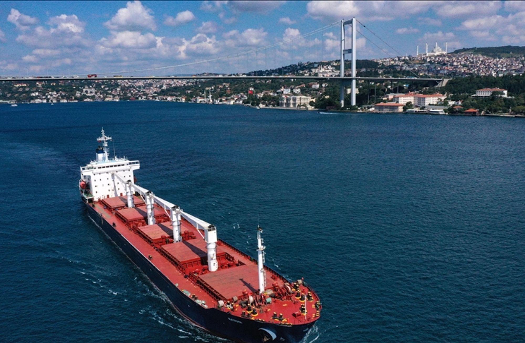Ukrayna buğdayı nereye gidiyor?