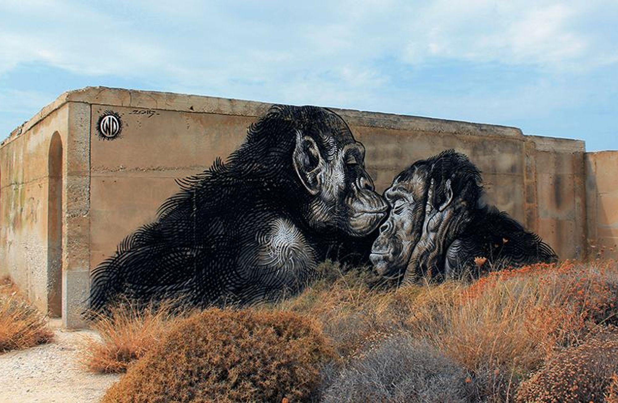 Balili Sanatçı: Wild Drawing!