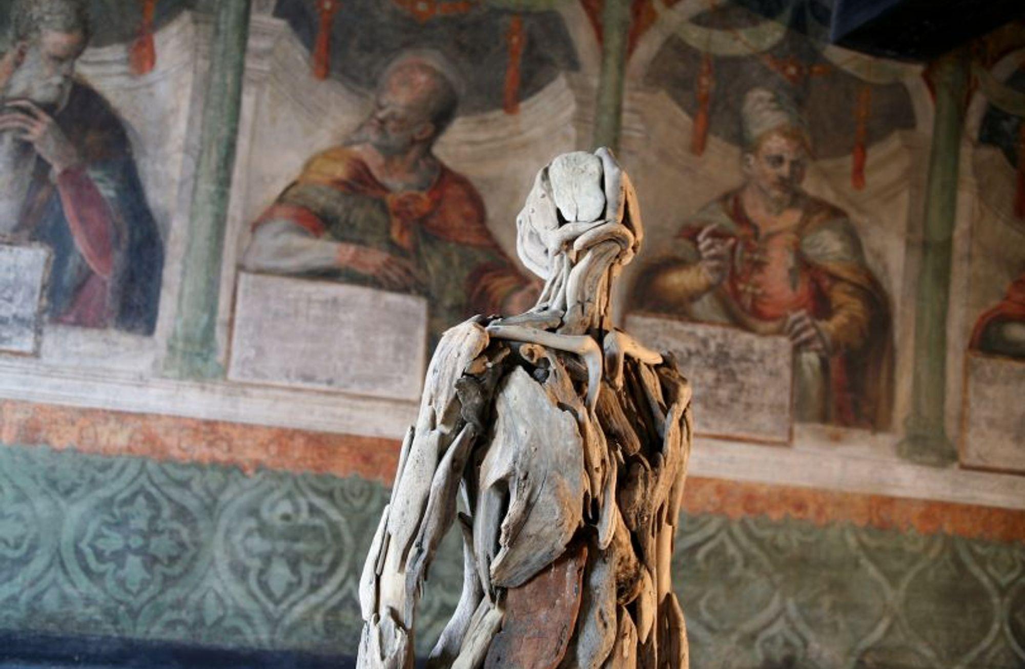 TORSO!