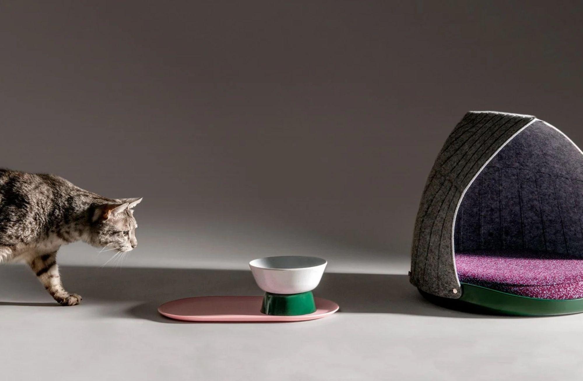 Mix and Match Kedi Mobilyaları