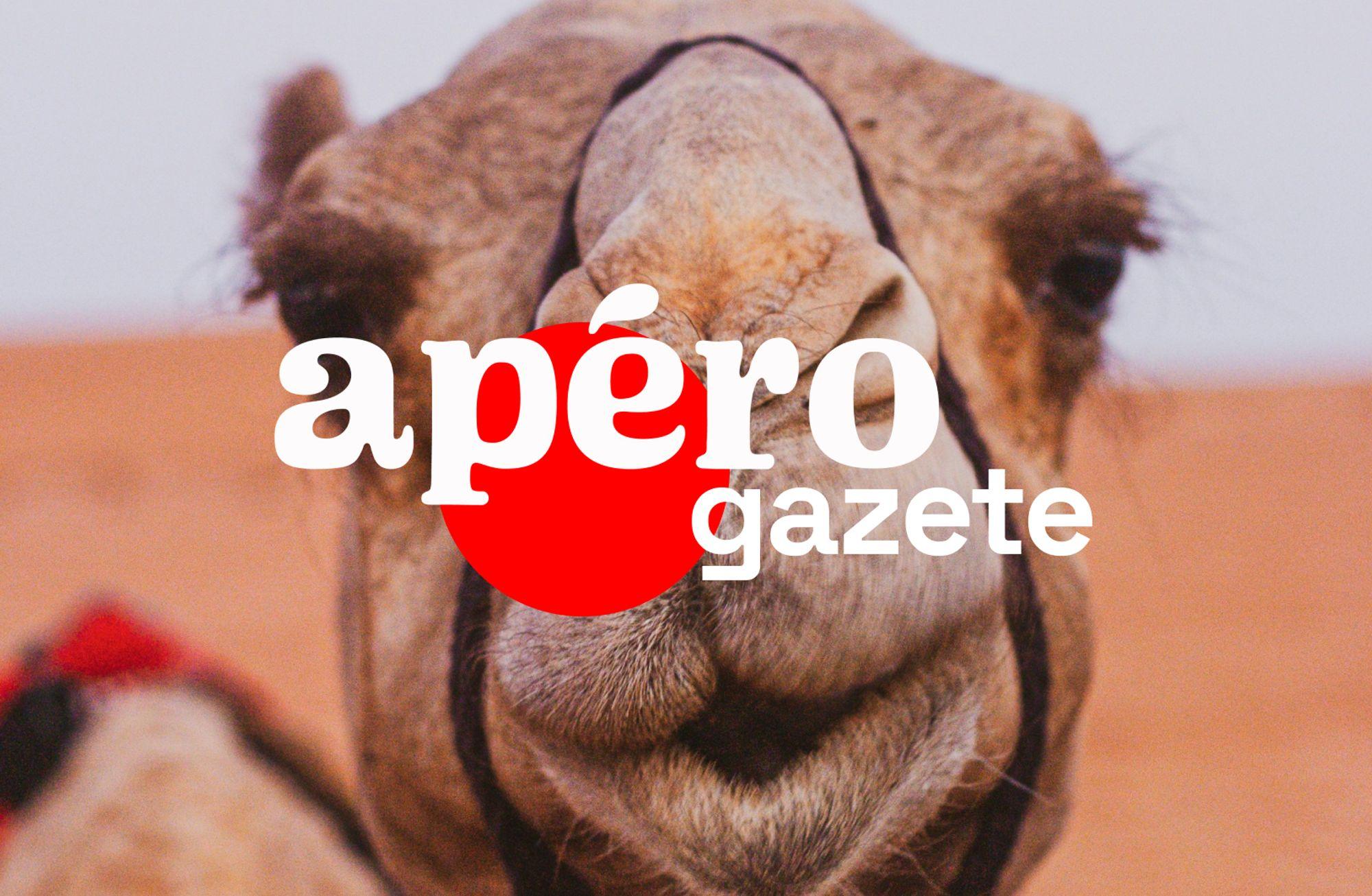 Deve sütünün popülaritesi artıyor