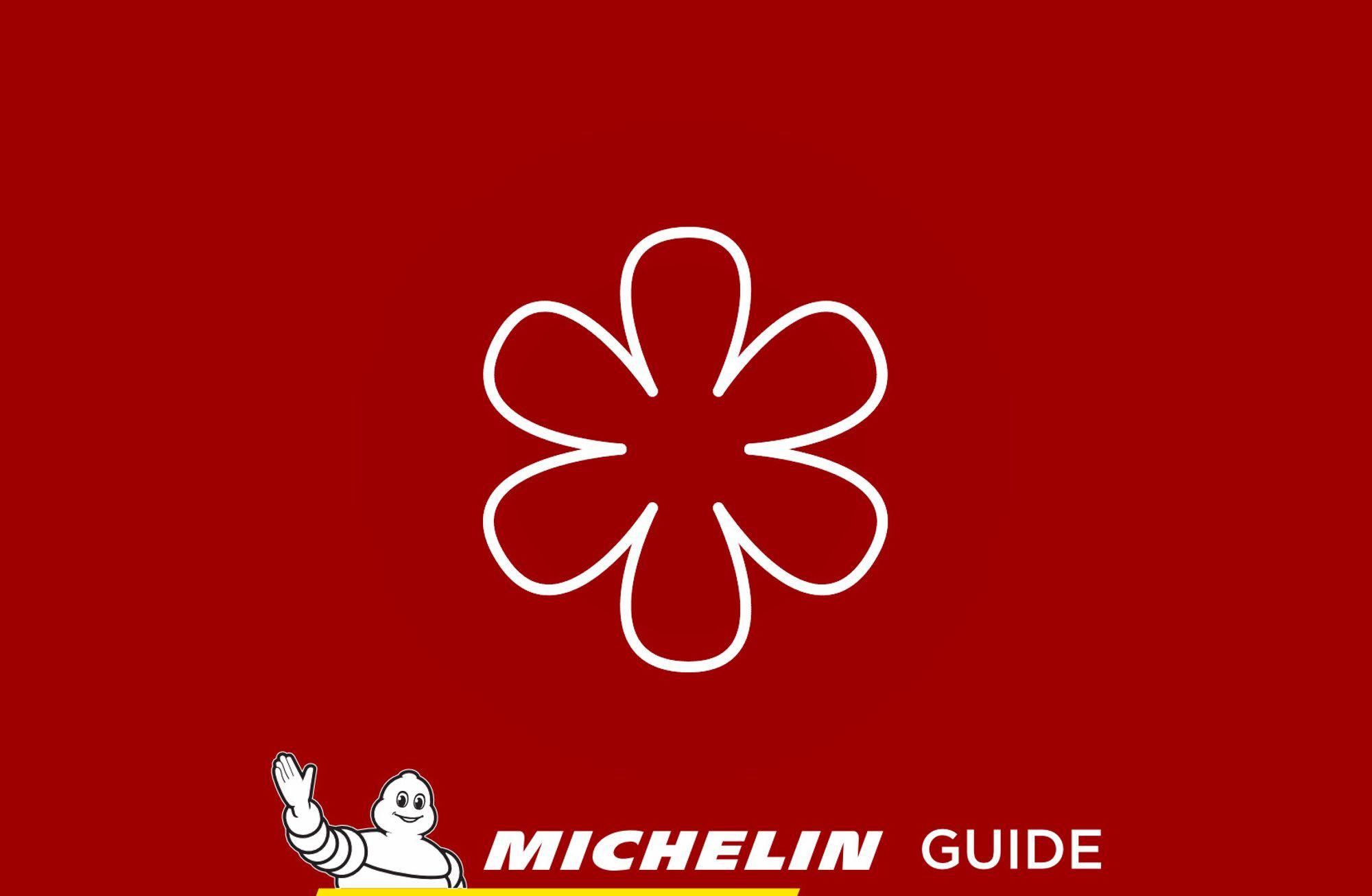 Bir MICHELIN Anatomisi