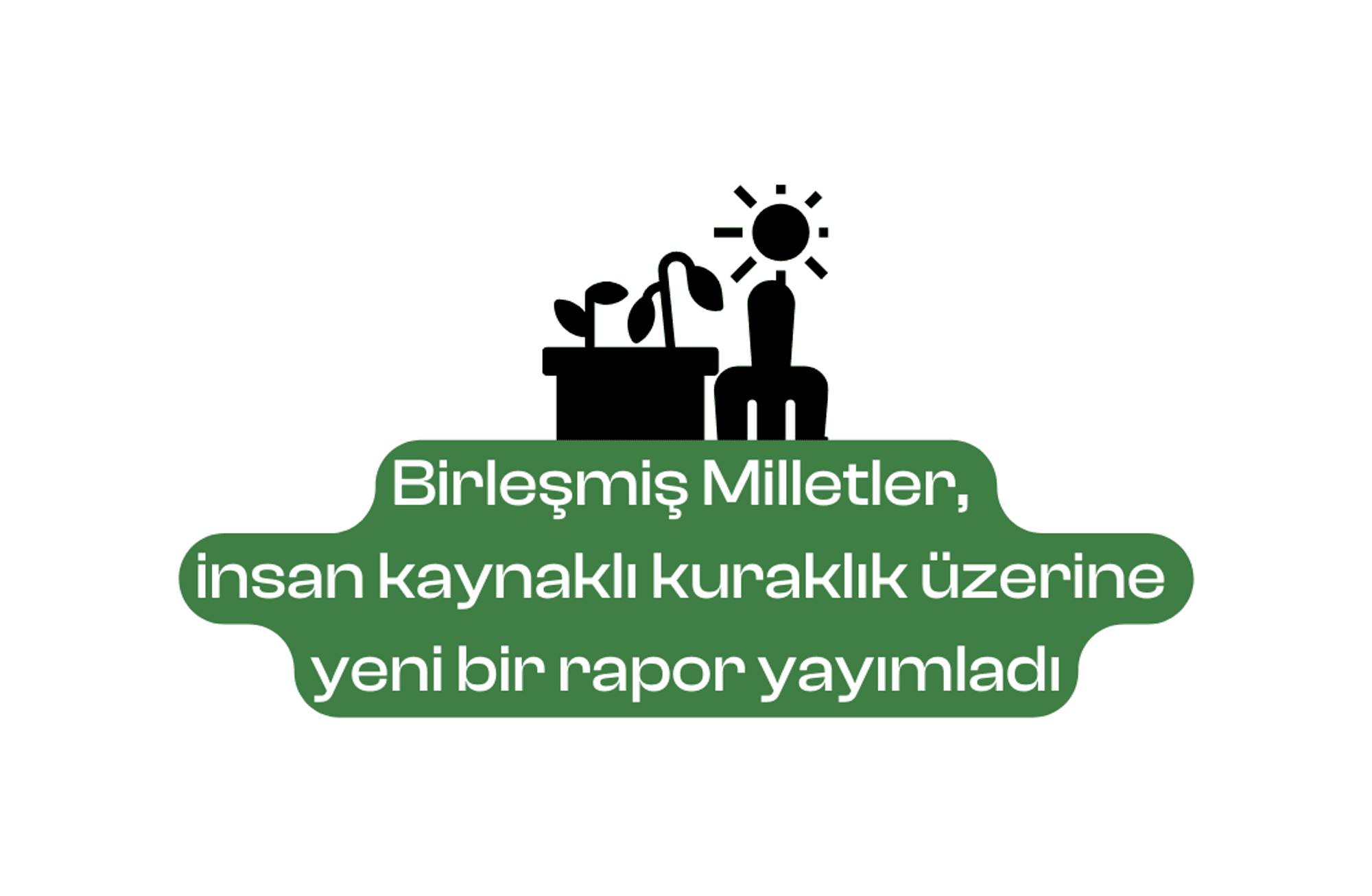 BM, insan kaynaklı kuraklık üzerine yeni bir rapor yayımladı