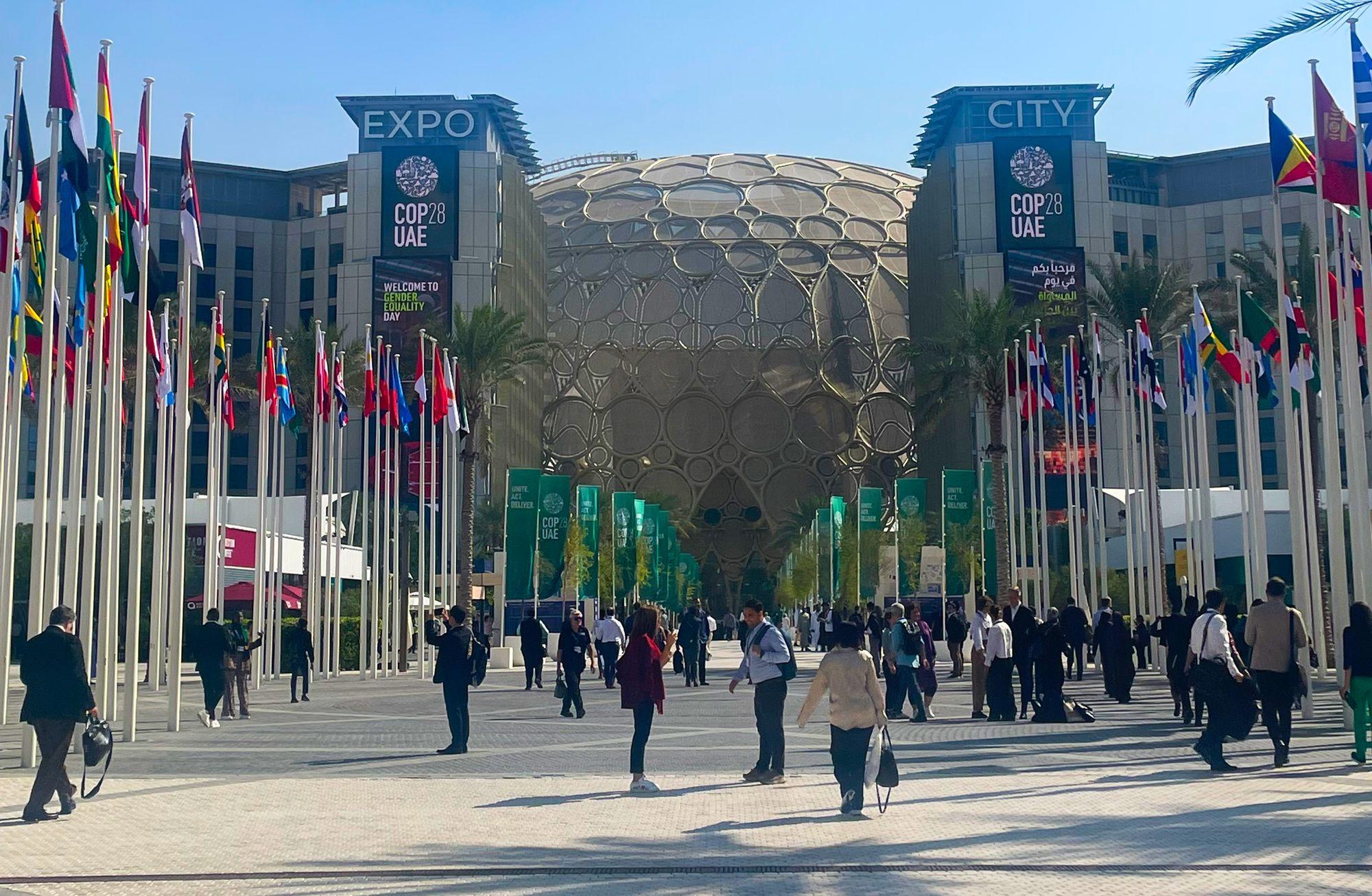 COP28 Ertesi Haberler