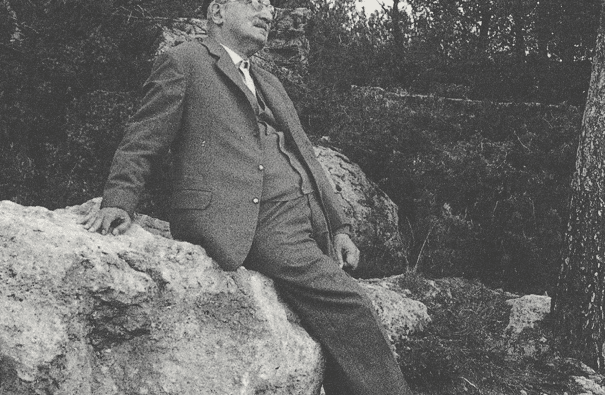 Martin Heidegger: “Düşünmenin kaderi…” 