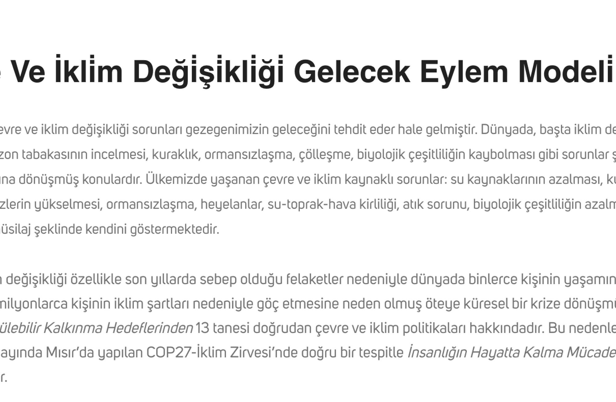 Eylem planı neler içeriyor?