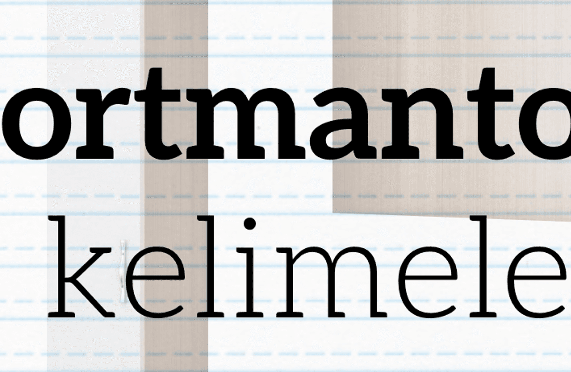 Portmanto Kelimeler